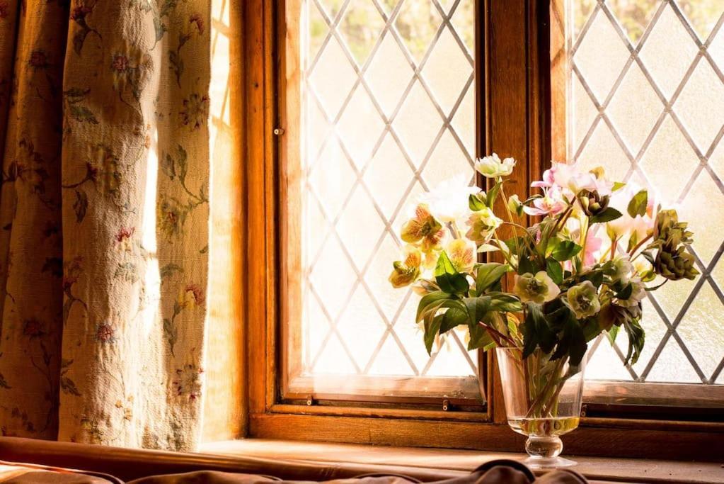 The Old Monkey, A Quirky Bolthole On The Edge Of A Historic Market Town Holiday home *